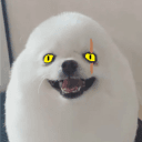 zerno