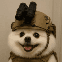 shiroev_